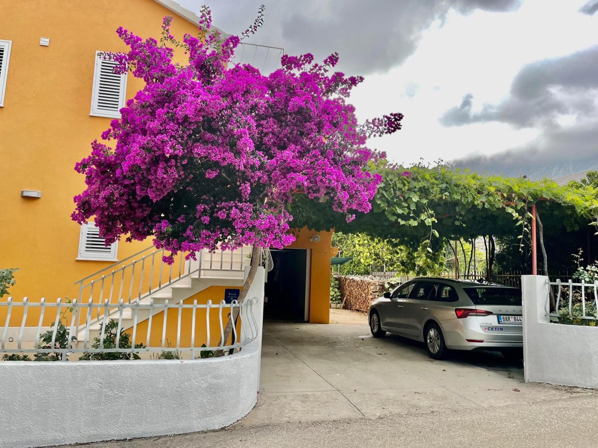 Apartments With A Parking Space Orebic, Peljesac - 4527 Exterior foto